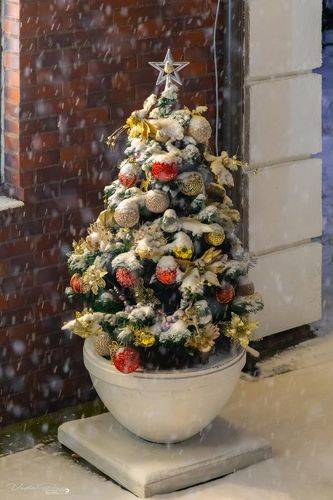 «Новогодняя ёлочка»