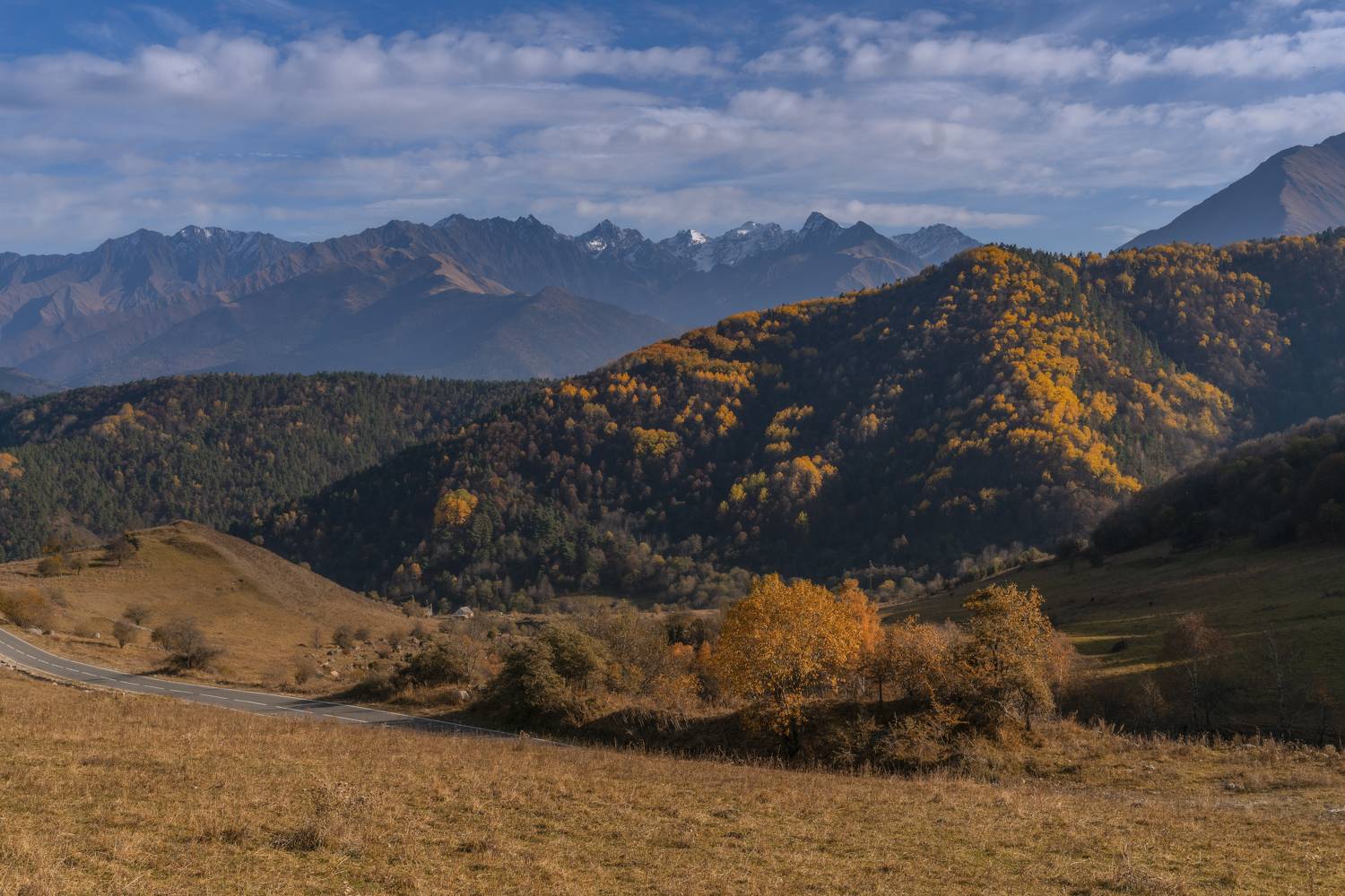 , Юлия Мальцева