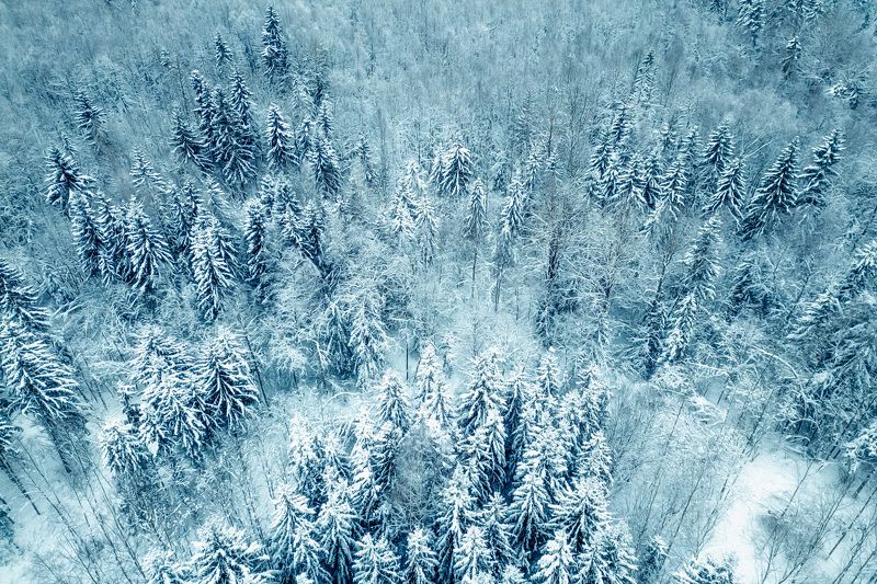 Latvian winter Winter dress фото превью