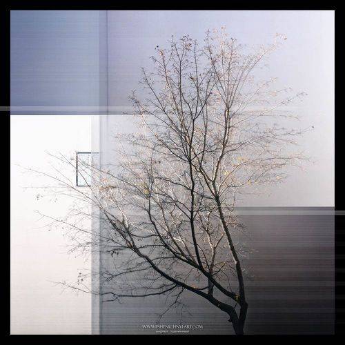 Силуэты осеннего света