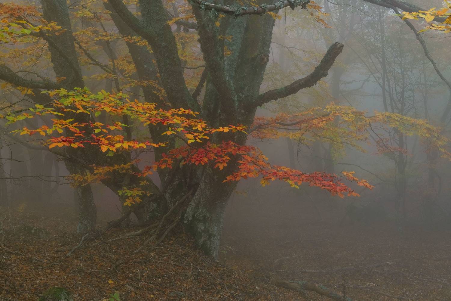 Фототуры с Владимиром Рябковым, #topnature #russpasibo #magic_shots #lovelyRussia #sunset_vision #exclusive_sky  #exclusive_shots #loves_russia2 #photoarena_nature #nature_sultans #nature_perfection #rsa_sky #rsa_sunset #photorussia #rsa_naturepics #sunse, Владимир Рябков