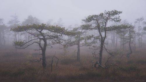 Пространство безвременья