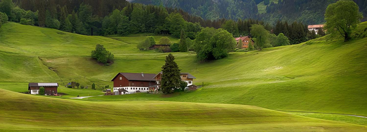 , Игорь Дубровский