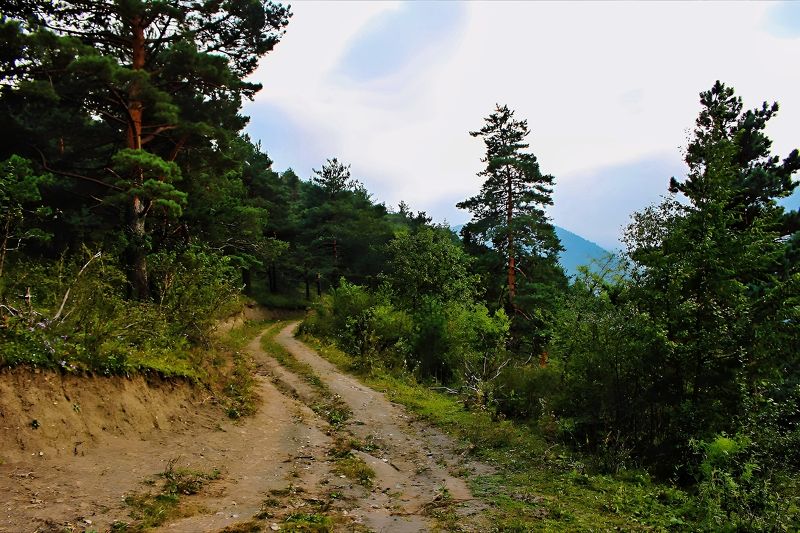 Ингушетия горная.. фото превью