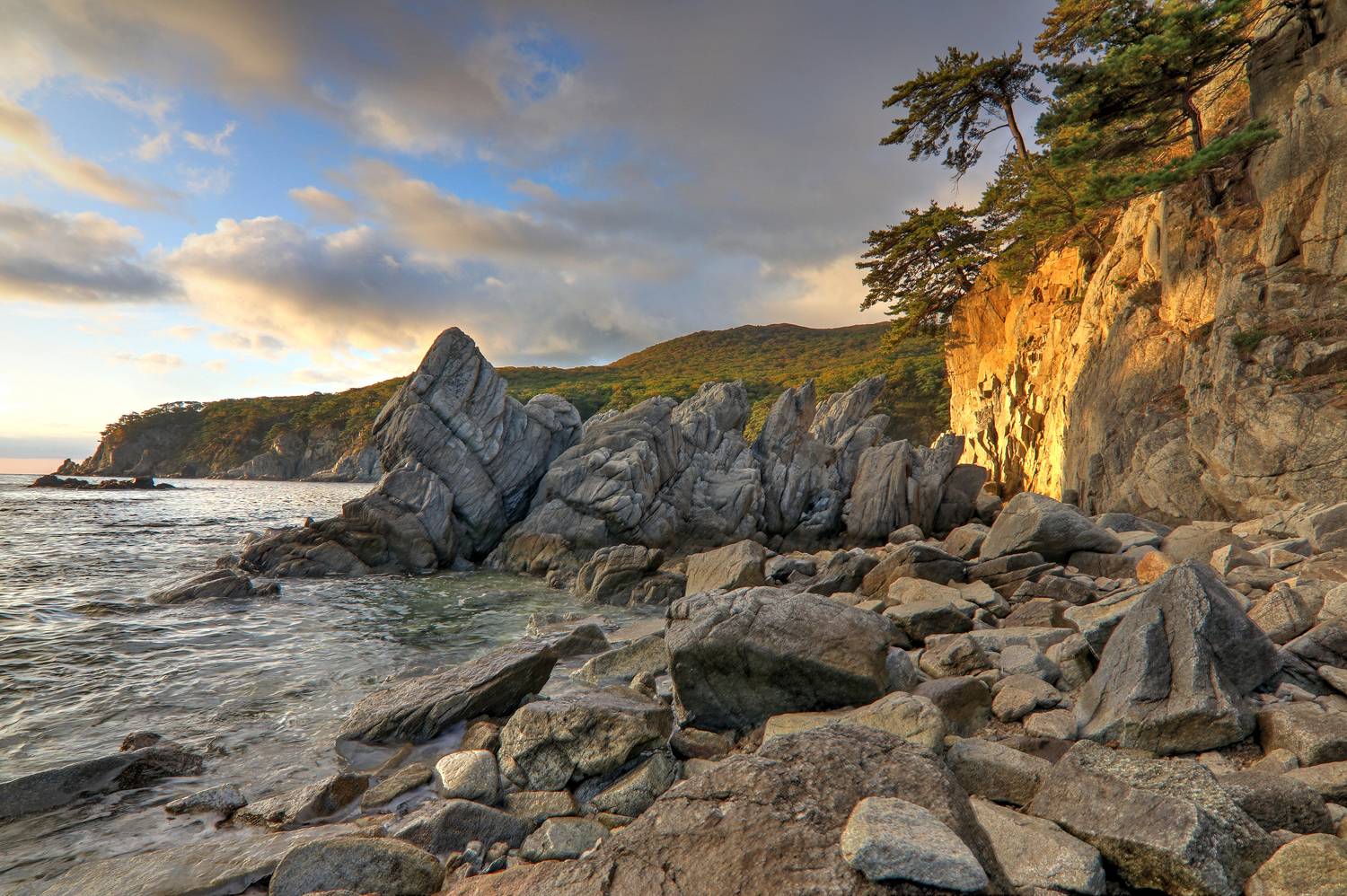 , Добролюбова Тамара