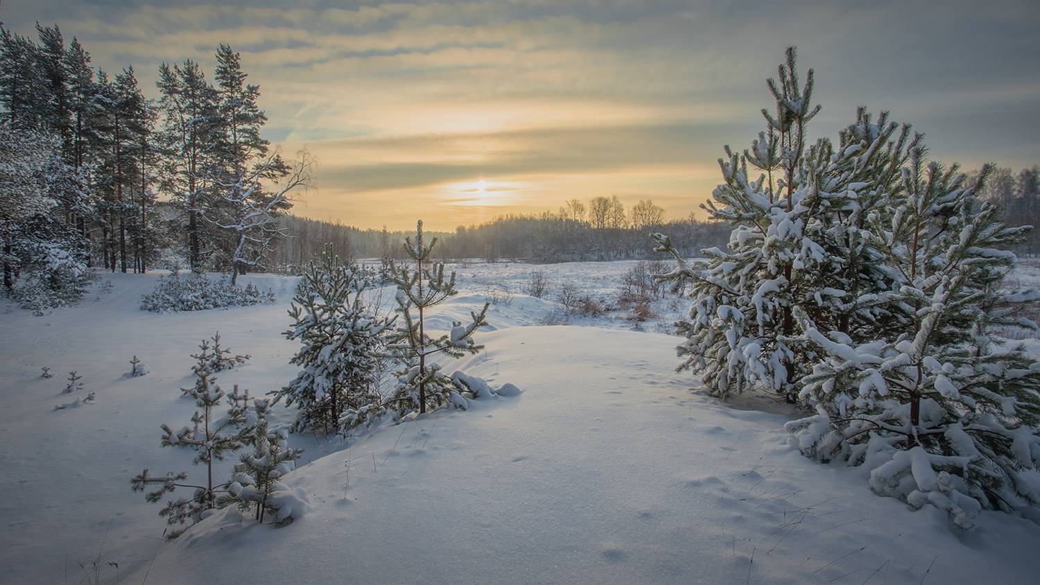 , Андреев Николай