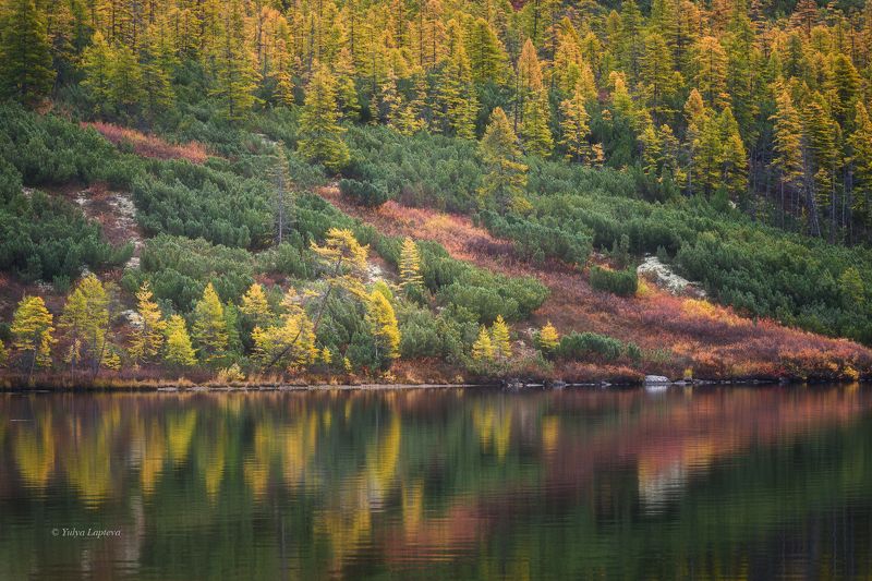 колыма, коса биологов ,озеро джека лондона, золотая осень, магаданская область \