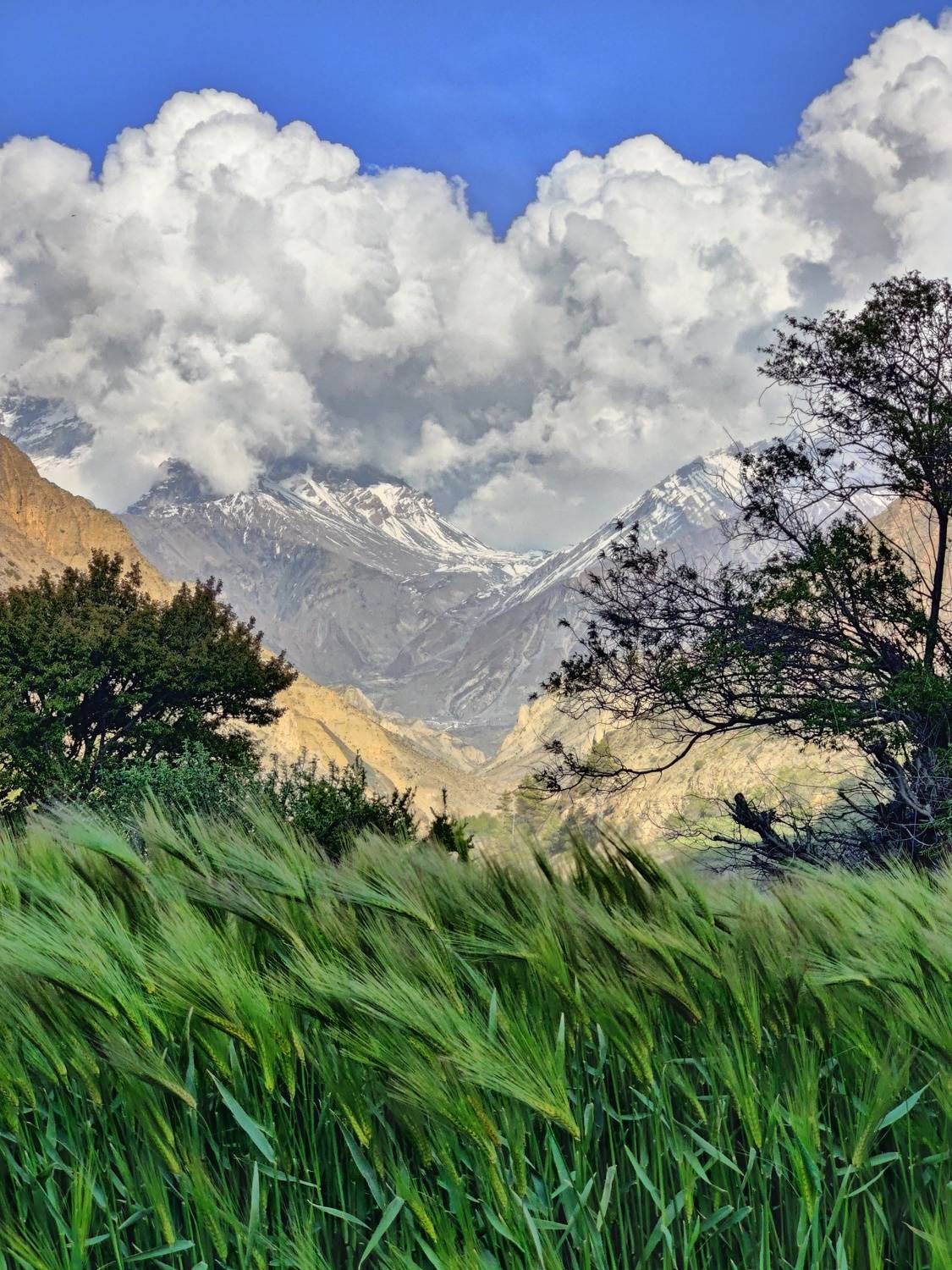 непал, гималаи, горы, nepal, himalaya, mountains, Баландин Дмитрий