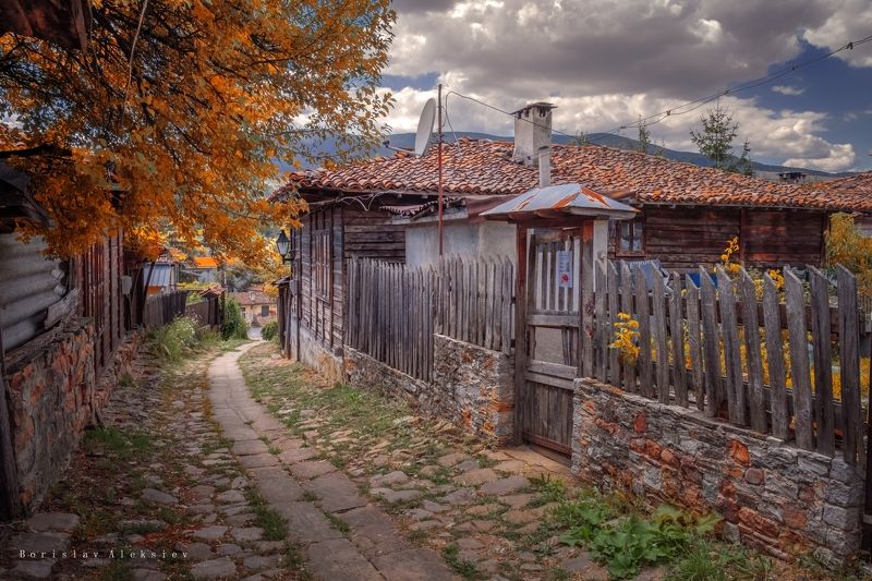 Autumn фото превью