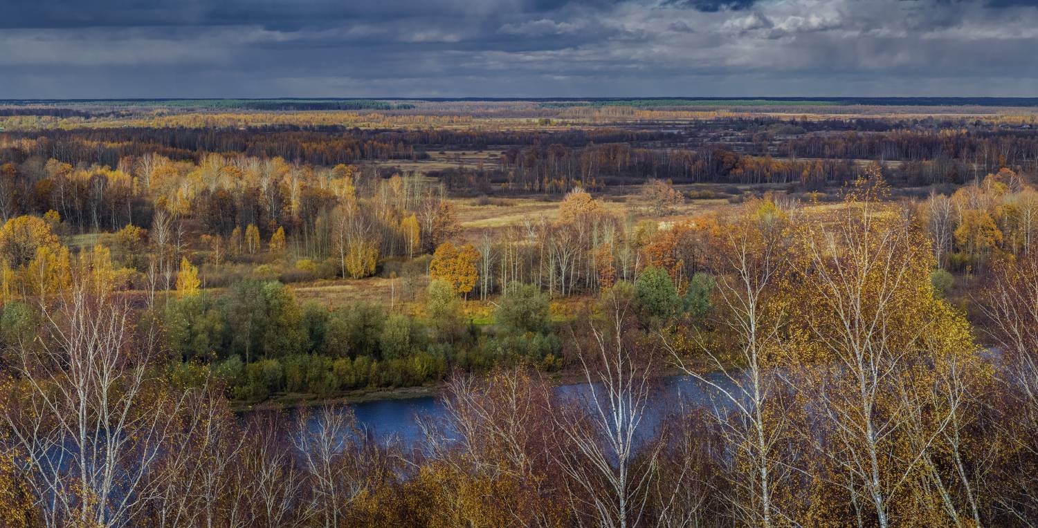 клязьма октябрь вид свет, Дмитрий Алексеев