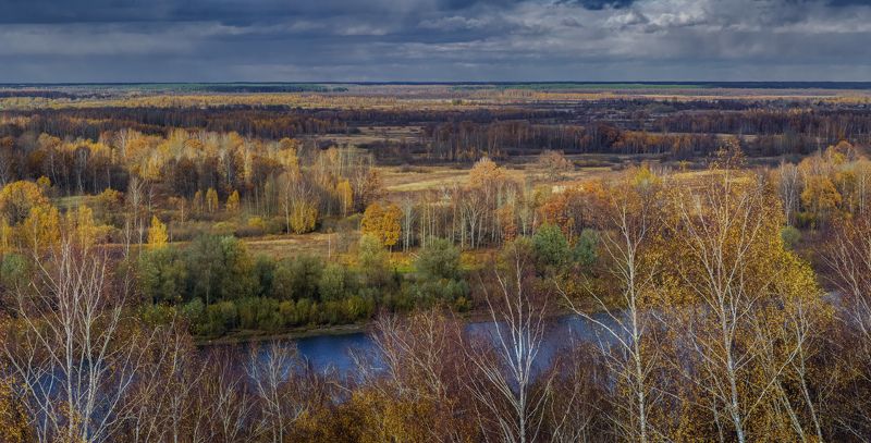 За Клязье. фото превью