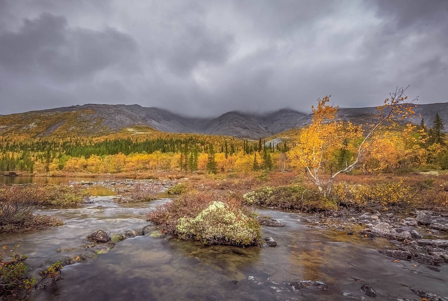 , Елена Маковоз