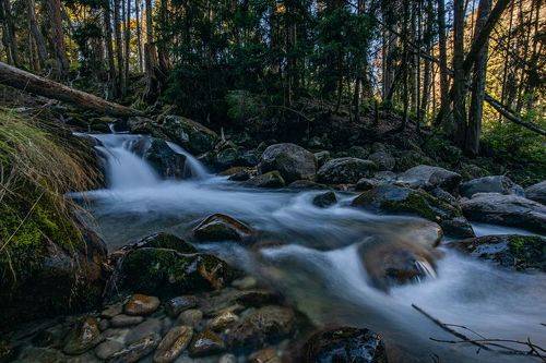 У горного ручья