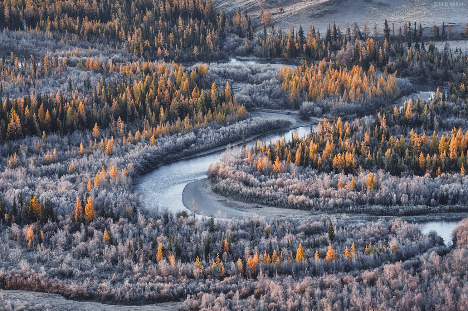 , Константин Шамин