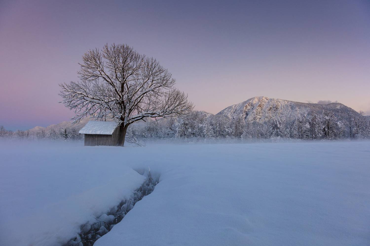 alps, mountains, germany, winter, see, kochelsee, deutschland,  Gregor