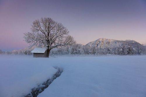 Kochelsee Alps
