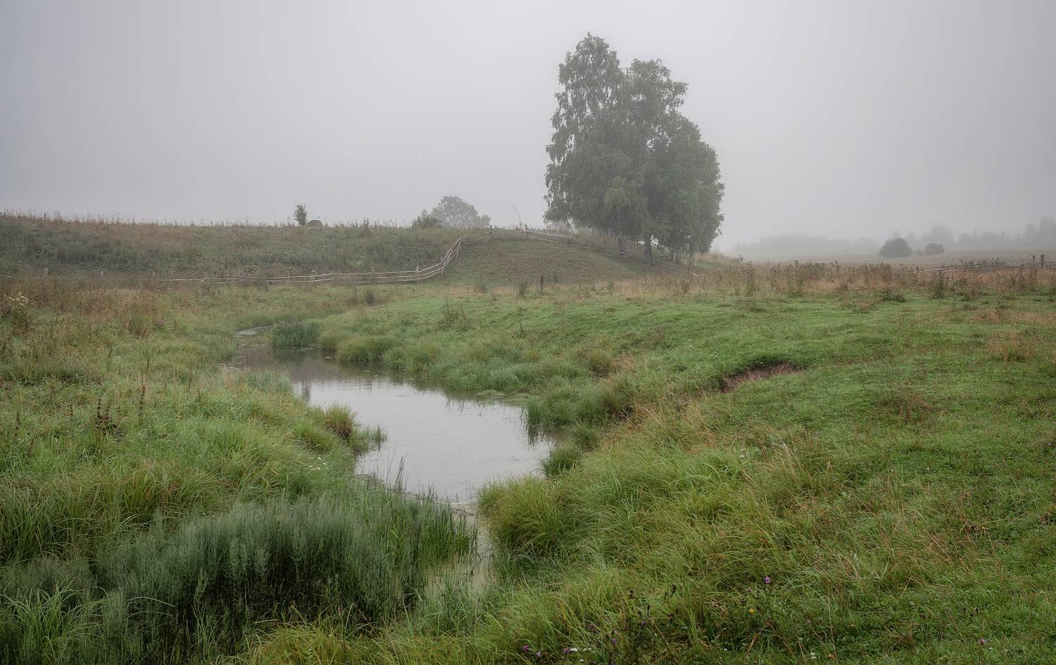 речка, туман, лето, Сергей Аникин