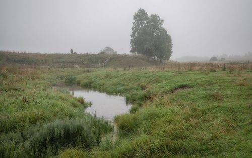 Утро туманное