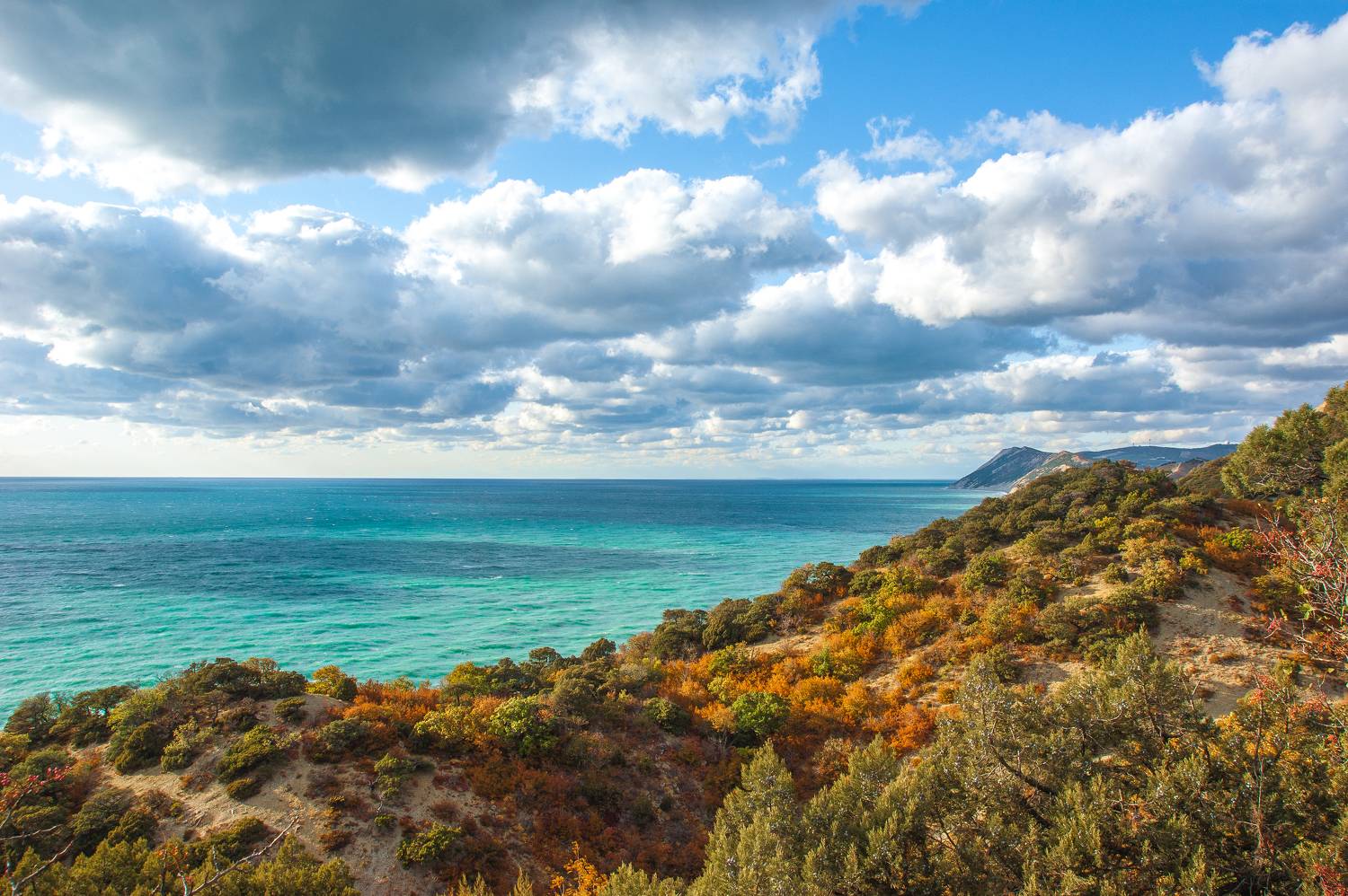 , Андрей Загребельный