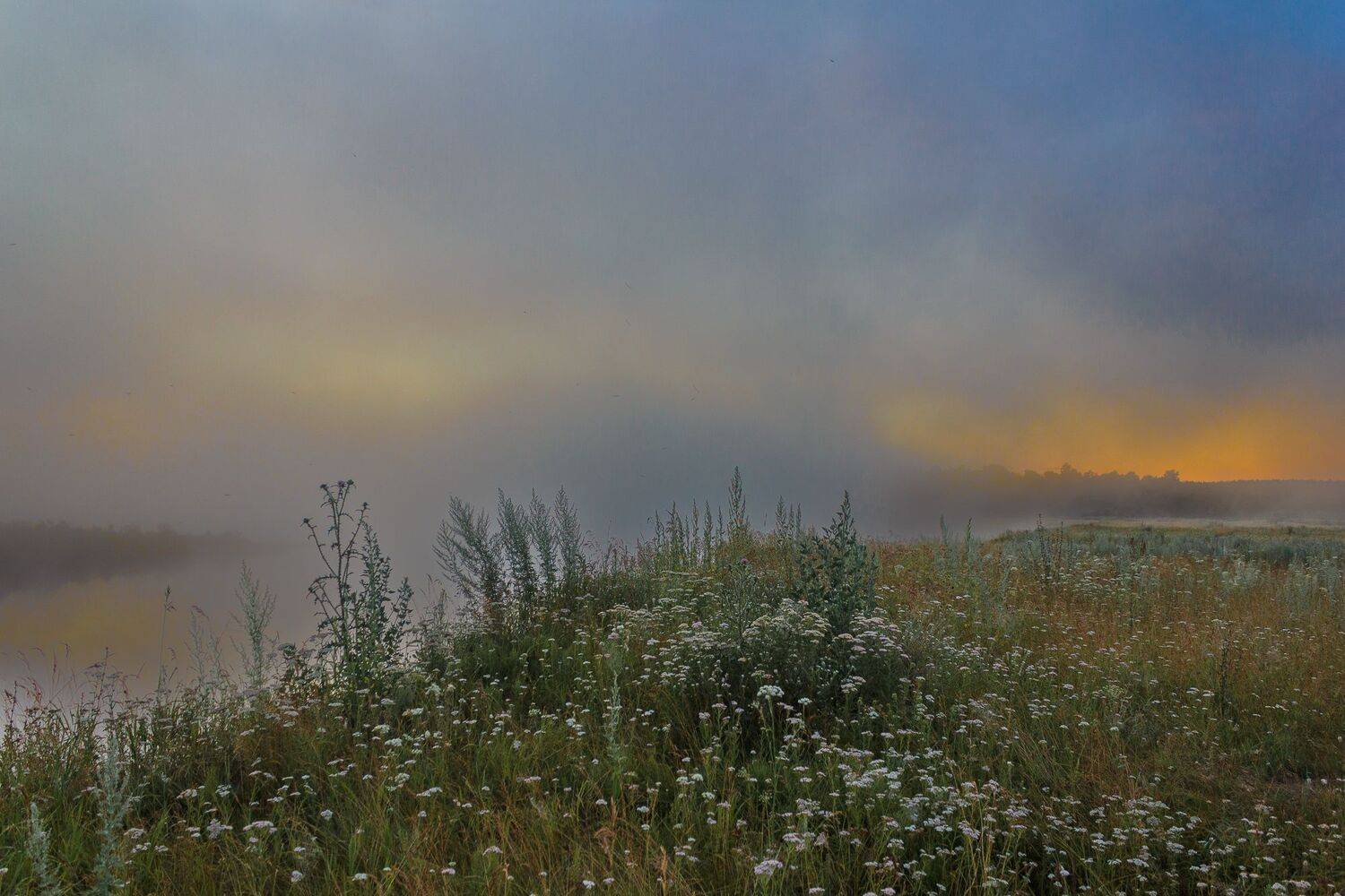 , Гильманов Артур