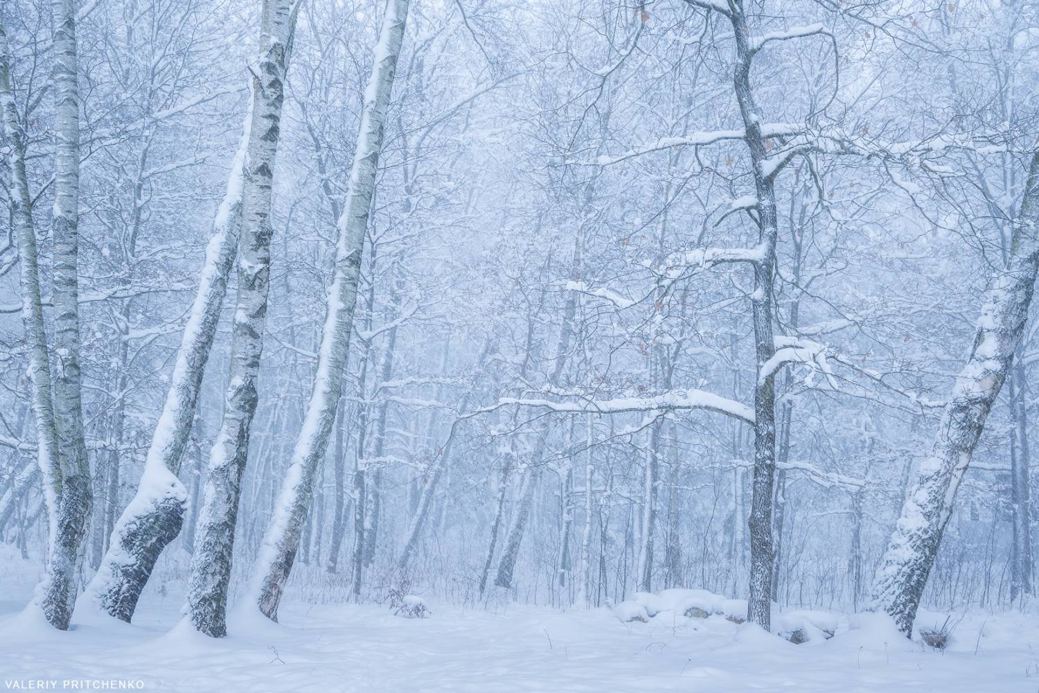 , Валерий Притченко