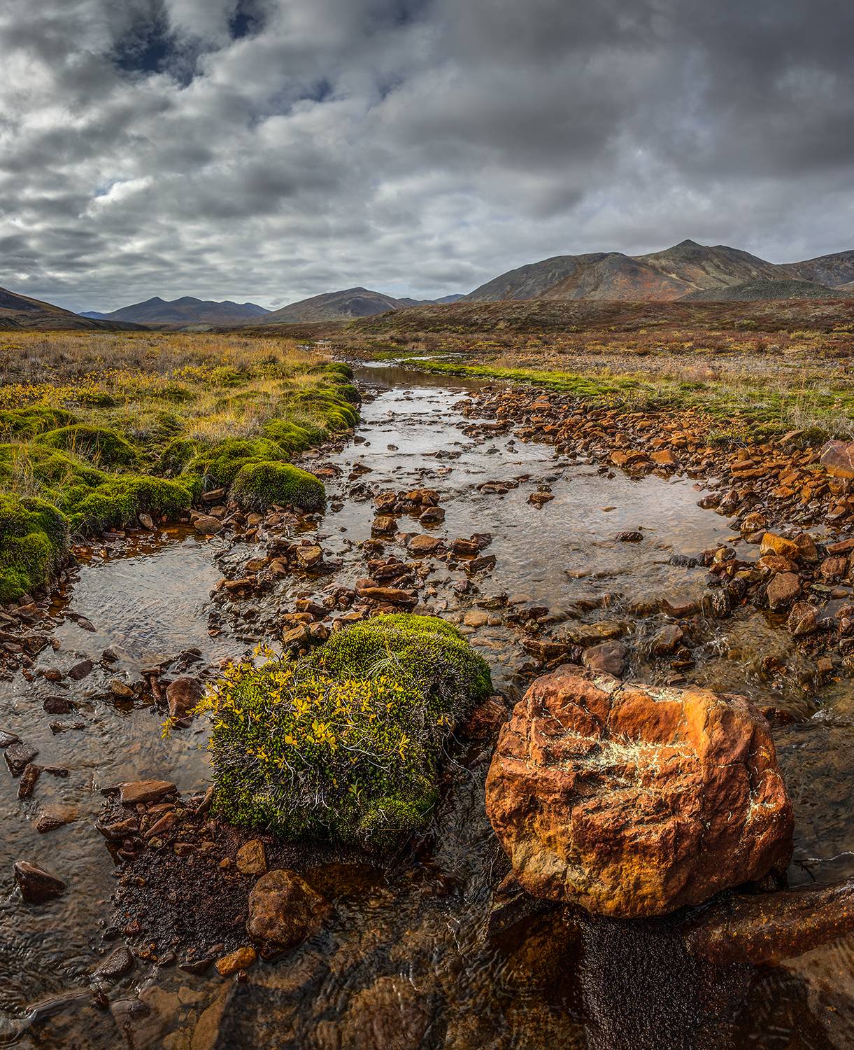 , Андреев Николай