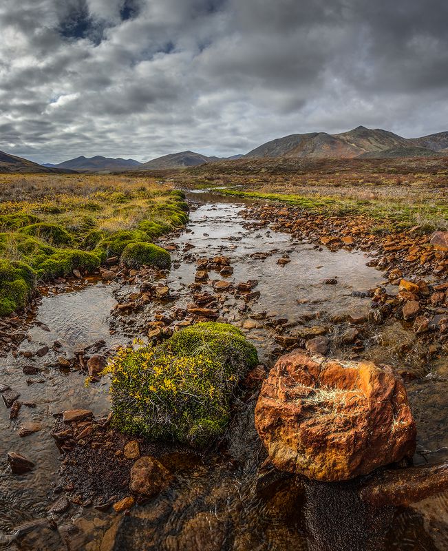 Чукотка 2023 фото превью