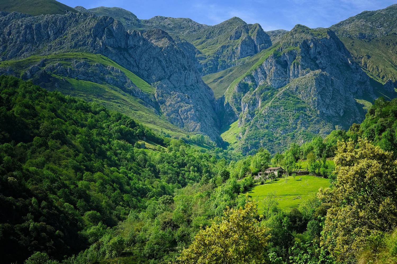 , Худзинская Ирина