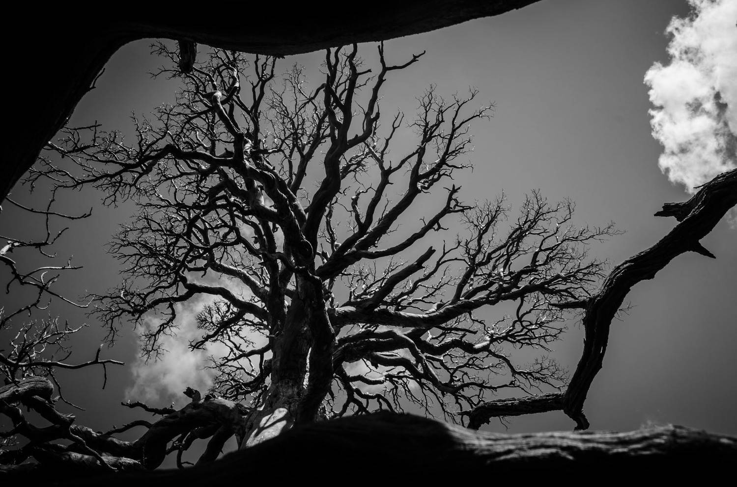 , Савенко Кирилл