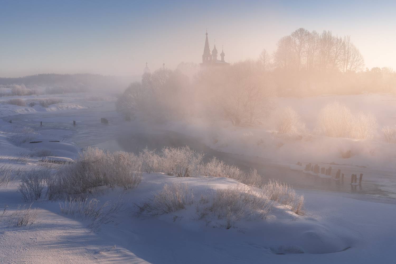 , Политова Анна