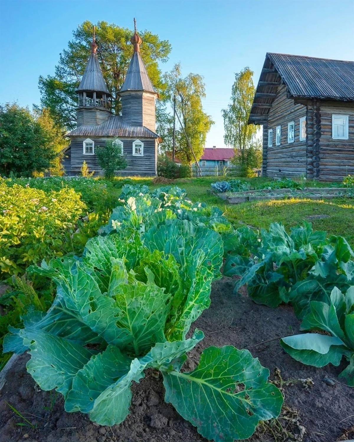 , Петр Косых