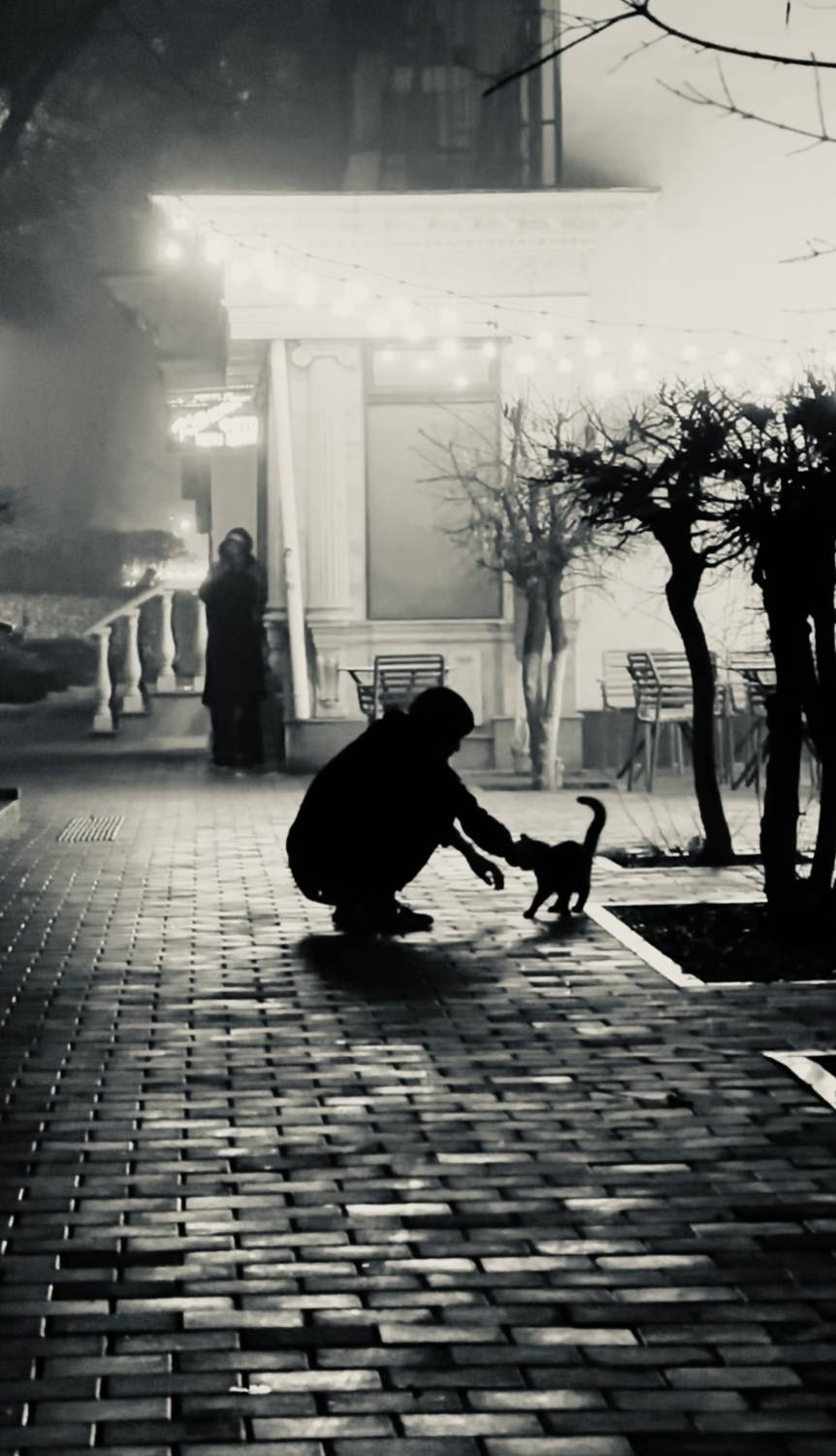 шаварёв, стрит, город, алматы,, Александр Шаварёв