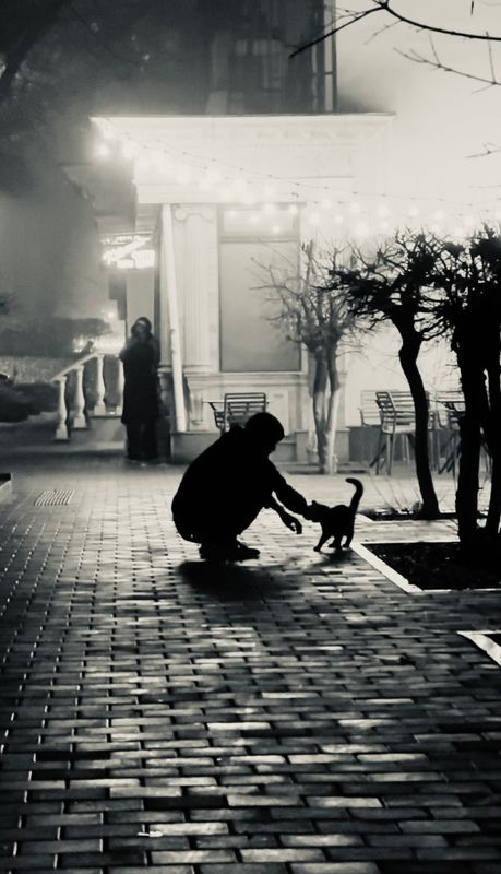 шаварёв, стрит, город, алматы, Друг. фото превью