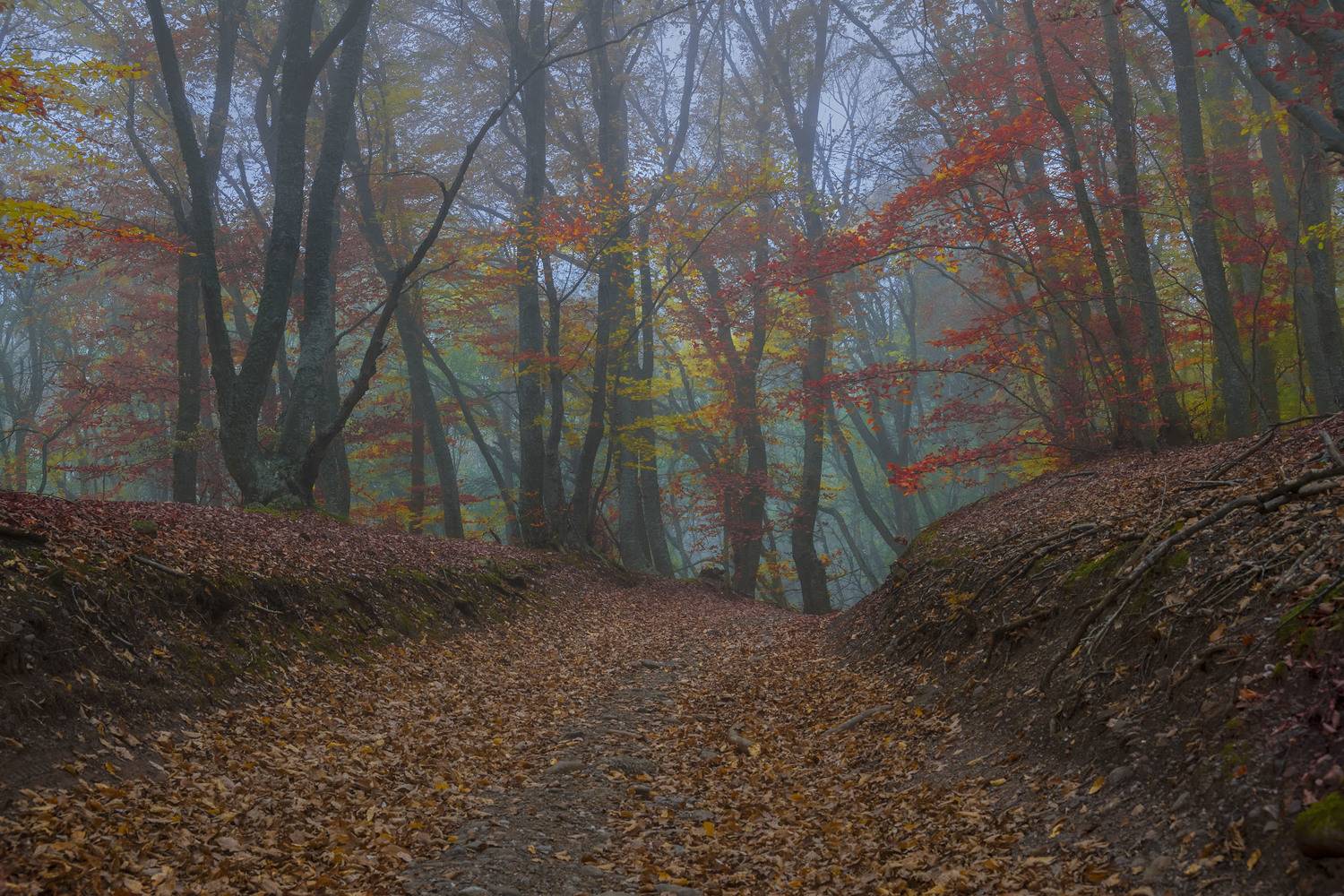 Фототуры с Владимиром Рябковым, #topnature #russpasibo #magic_shots #lovelyRussia #sunset_vision #exclusive_sky  #exclusive_shots #loves_russia2 #photoarena_nature #nature_sultans #nature_perfection #rsa_sky #rsa_sunset #photorussia #rsa_naturepics #sunse, Владимир Рябков