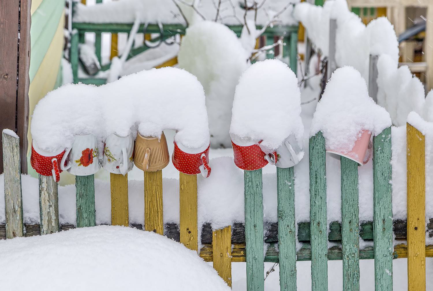чашки, снег, изгородь,забор., Анкудинов Леонид