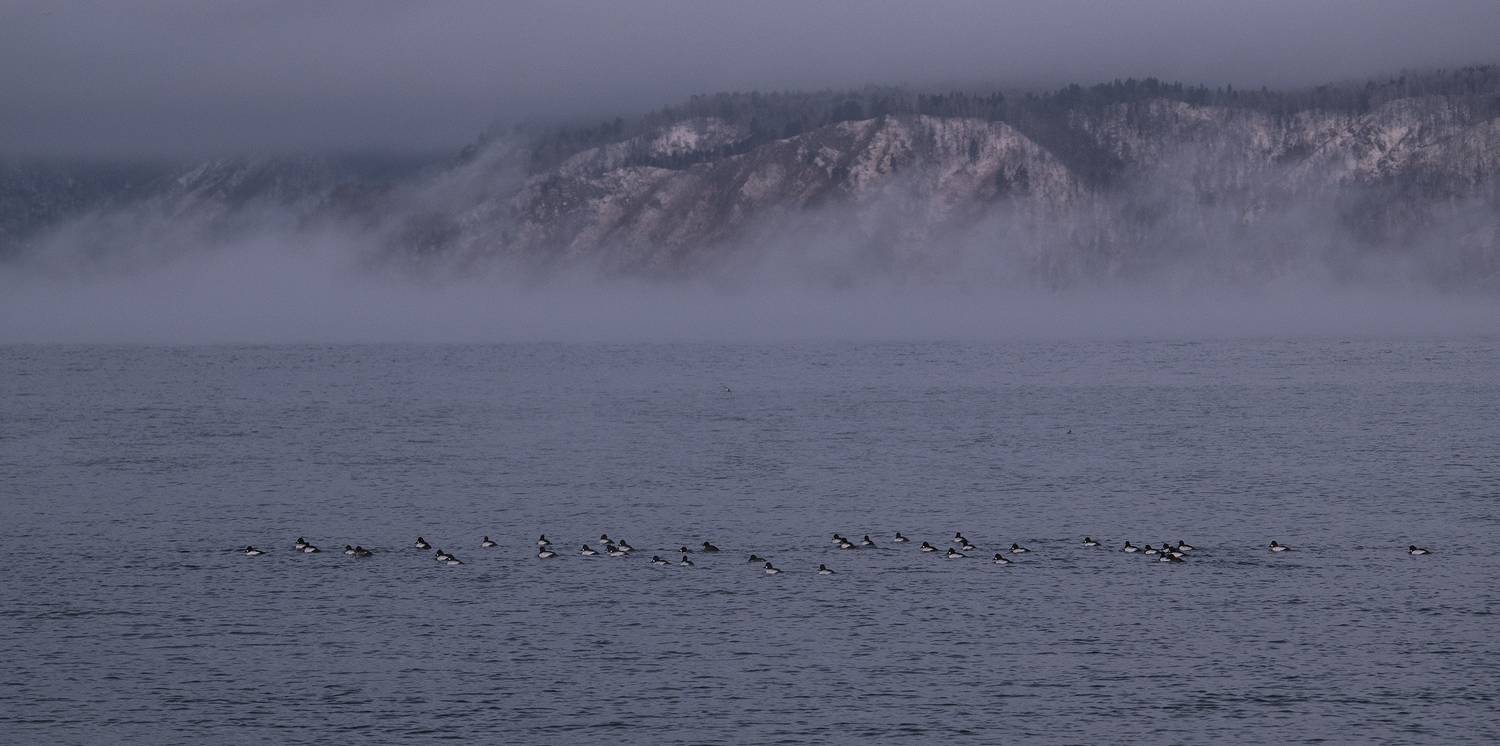 байкал декабрь на байкале гоголь, Андрей Таничев