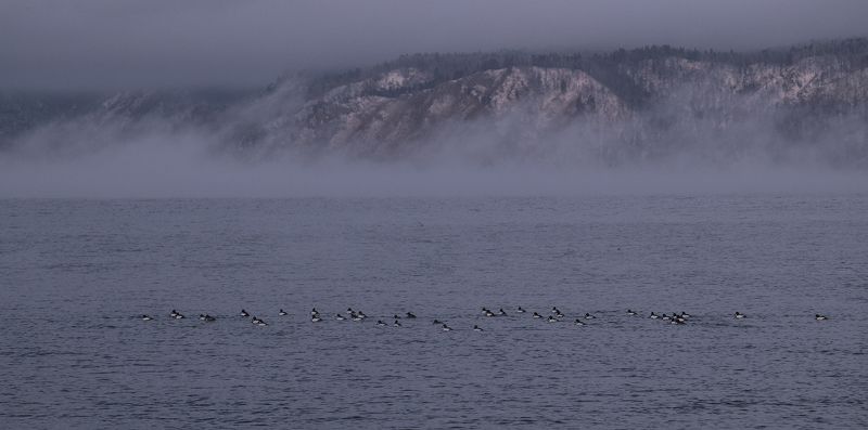 байкал декабрь на байкале гоголь На Байкал приходит декабрь фото превью