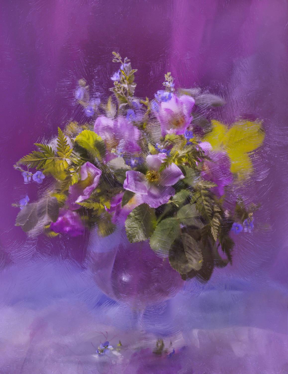 , Сушкевич Светлана