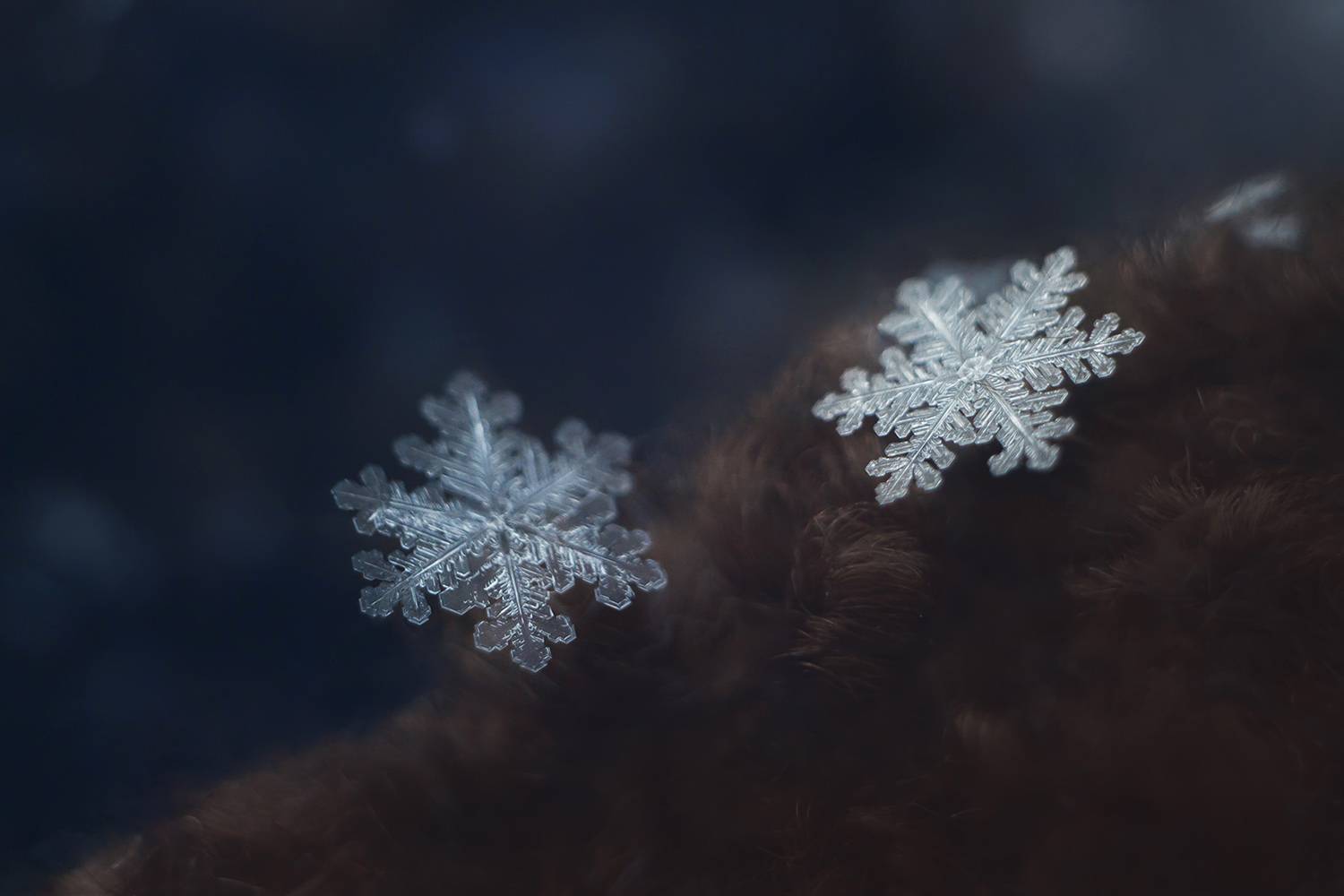 зима, снег, снежинки, Алёна Сурнина