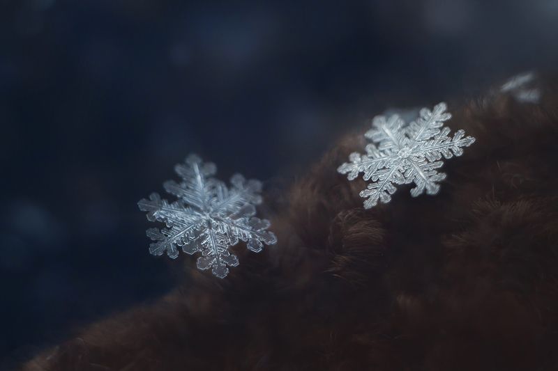 Ювелирная мастерская Зимушки снова открыта фото превью