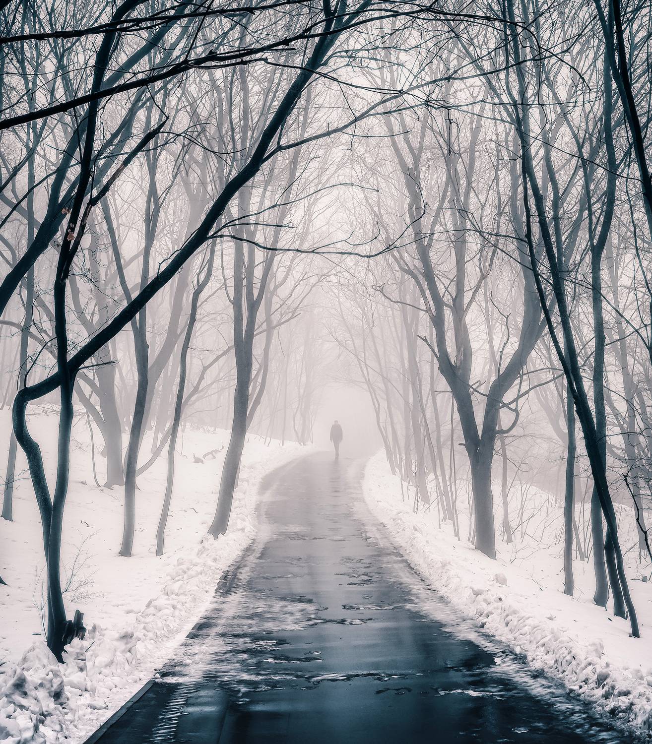 , Подосинников Максим