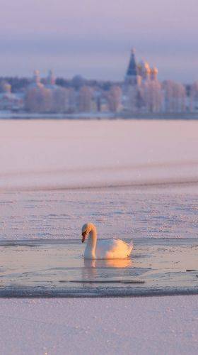 Зима на Валдае