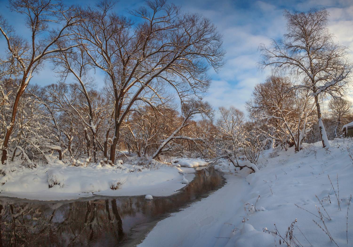 зима, река, лес, Александр Свистков