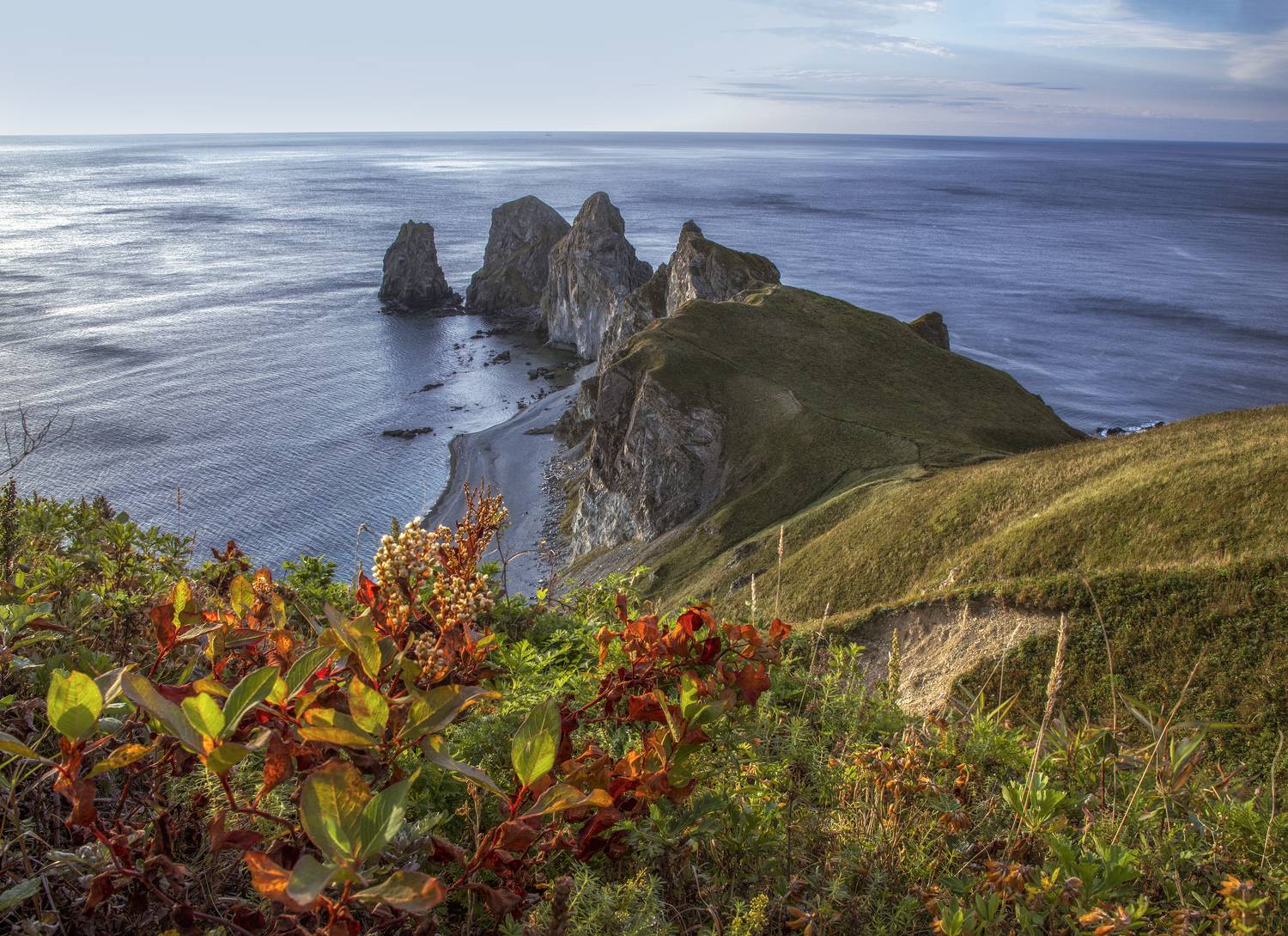 приморский, край, Елена Гусева