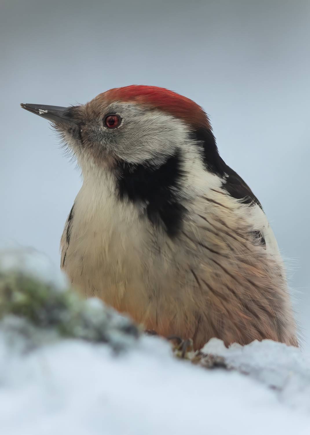 , Денис Пронин