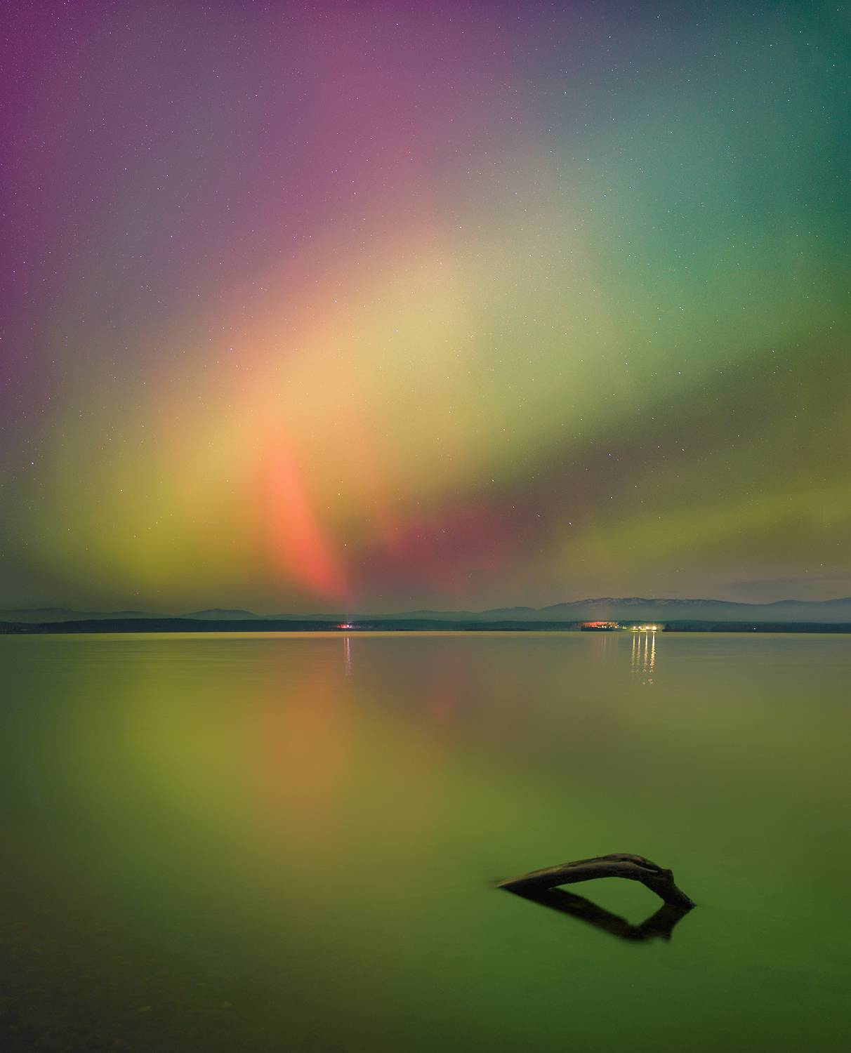 , Дмитрий Жучков