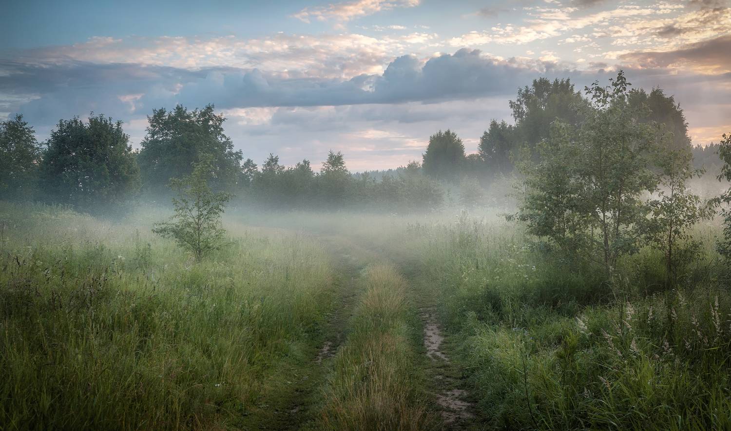 туман, лес, рассвет, Сергей Аникин