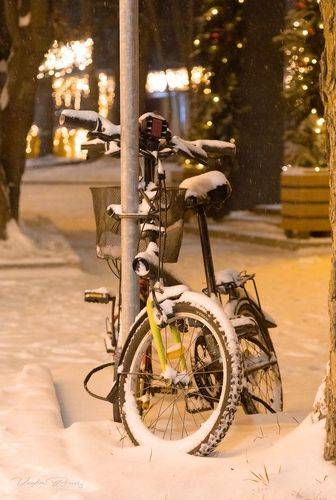 «Примороженные»