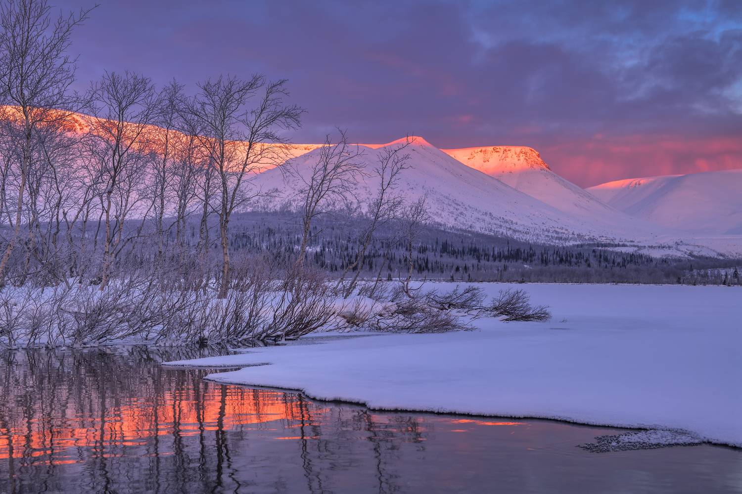 , Максим Евдокимов