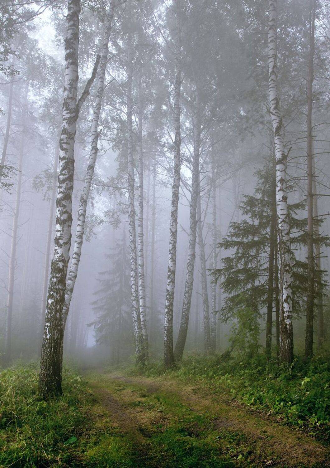 , Алексей Хахлов